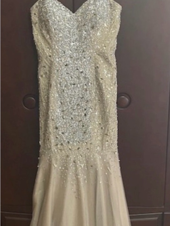 Terani Couture Dresses & Skirts - Prom/Formal Dress